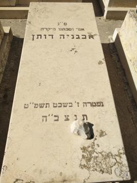 תמונת מצבה
