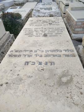 תמונת מצבה