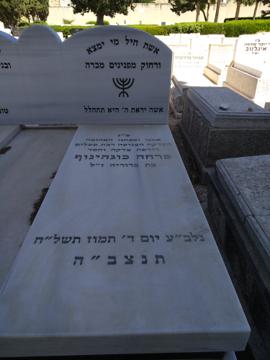 תמונת מצבה