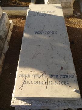 תמונת מצבה