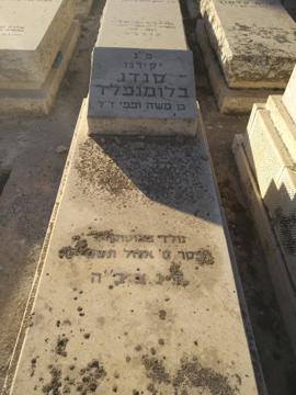 תמונת מצבה