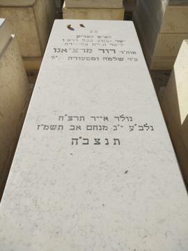 תמונת מצבה