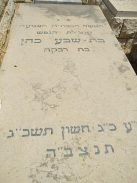 תמונת מצבה