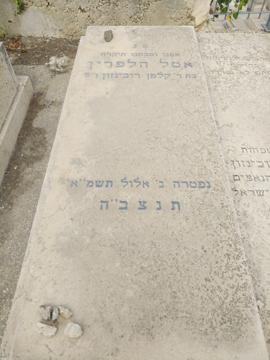 תמונת מצבה