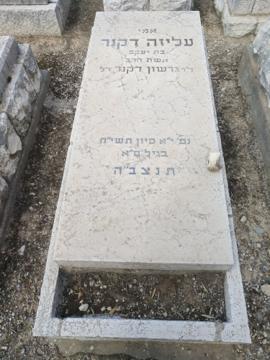 תמונת מצבה