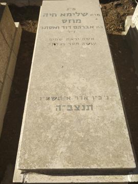 תמונת מצבה
