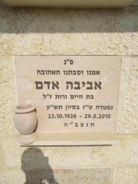תמונת מצבה