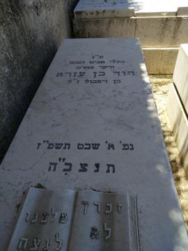 תמונת מצבה