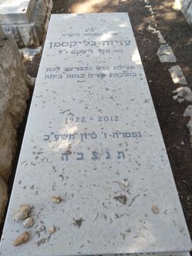 תמונת מצבה