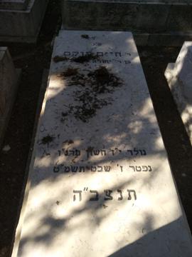 תמונת מצבה