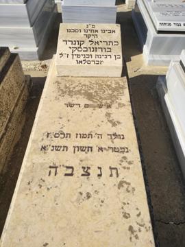 תמונת מצבה