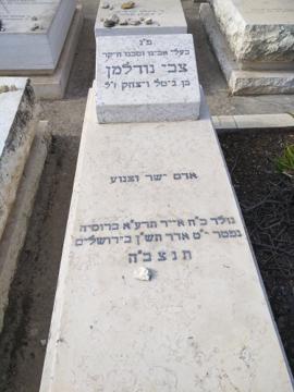 תמונת מצבה
