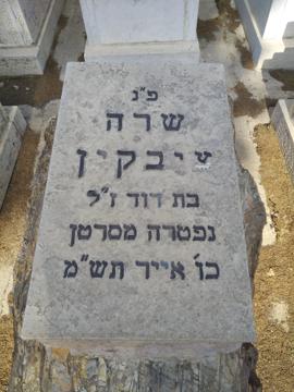 תמונת מצבה