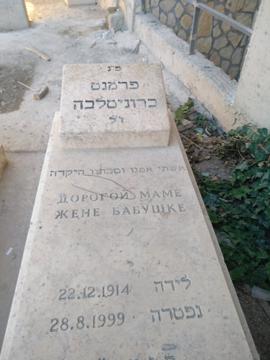 תמונת מצבה