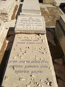 תמונת מצבה