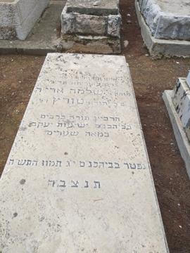 תמונת מצבה