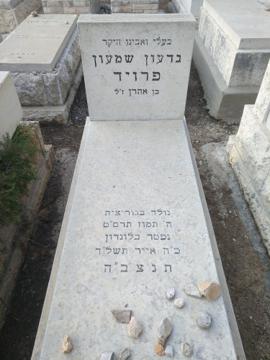 תמונת מצבה