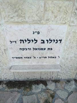 תמונת מצבה