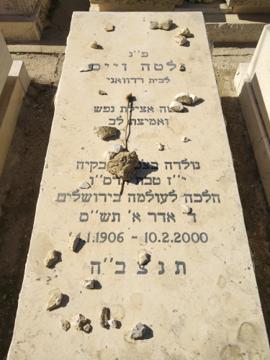 תמונת מצבה
