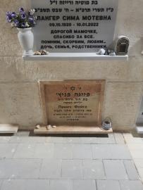 תמונת מצבה