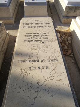 תמונת מצבה