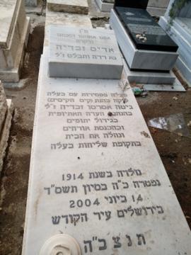תמונת מצבה