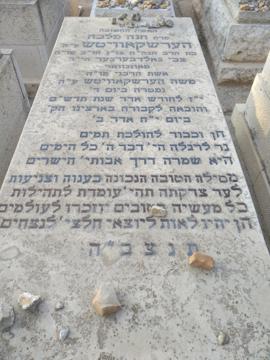 תמונת מצבה