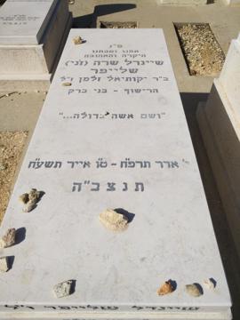 תמונת מצבה