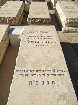 תמונת מצבה