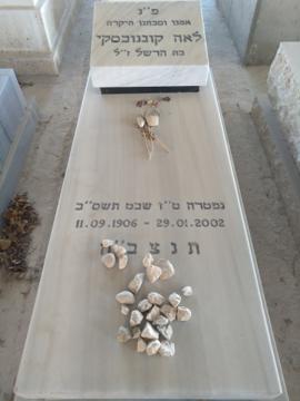 תמונת מצבה