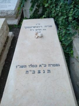 תמונת מצבה