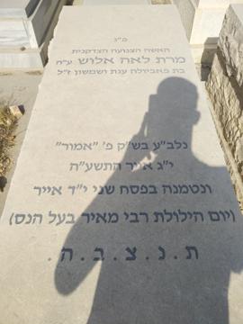 תמונת מצבה