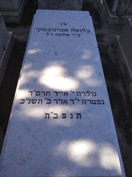תמונת מצבה