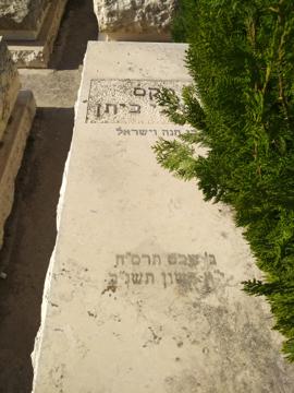 תמונת מצבה