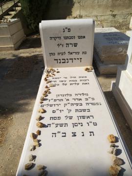 תמונת מצבה