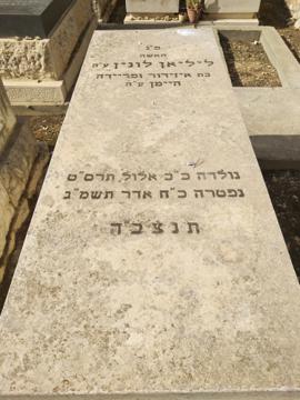 תמונת מצבה