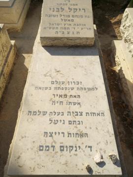 תמונת מצבה