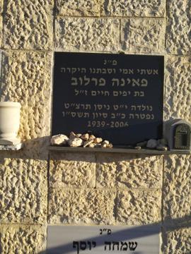 תמונת מצבה