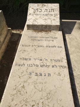 תמונת מצבה