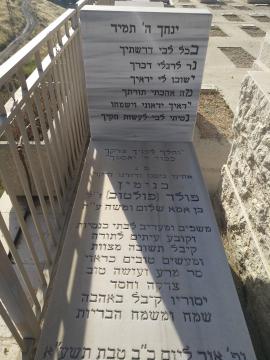 תמונת מצבה