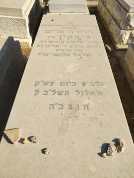 תמונת מצבה