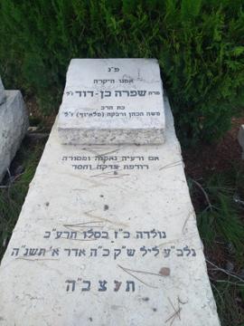 תמונת מצבה