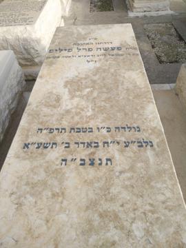 תמונת מצבה