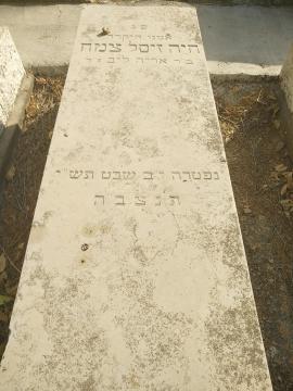 תמונת מצבה