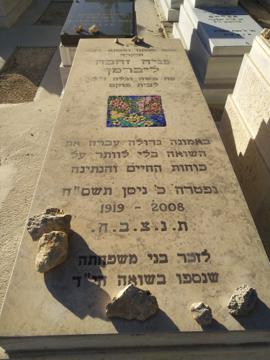 תמונת מצבה