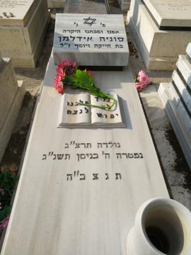 תמונת מצבה