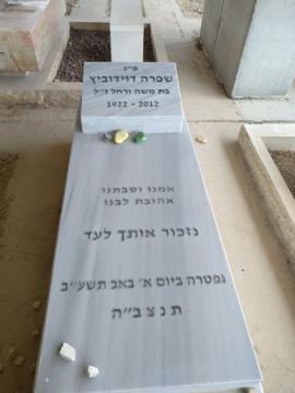 תמונת מצבה
