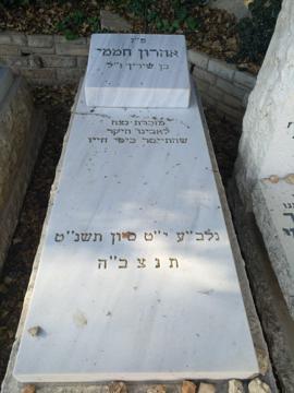 תמונת מצבה