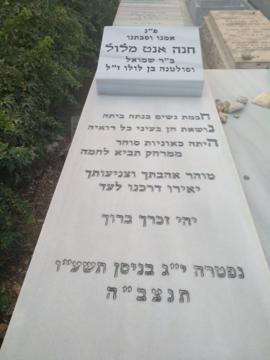 תמונת מצבה
