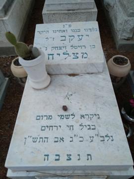 תמונת מצבה